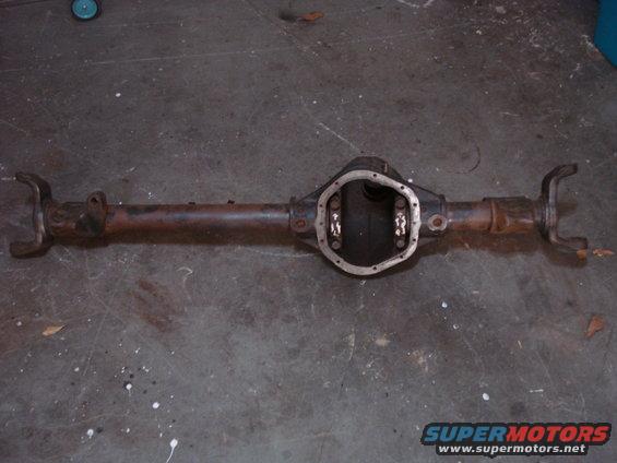 dana44.jpg 