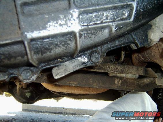 monday-008.jpg ID tag of my BW 1345