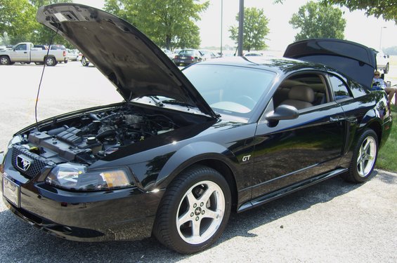 mustang-mania-2011-044.jpg 