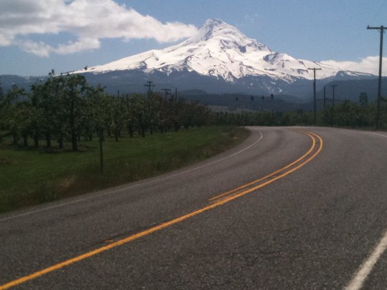Winding road curves past an orchard with a snow-capped mountain in the background