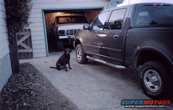Chocolate lab sits in front of a dark gray pickup truck parked in a driveway. A white 1979 Ford Bronco is visible inside an open garage behind the pickup