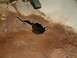1983 Ford Bronco - Significant rust damage has created a hole in the vehicle's floor pan, with a brake pedal visible above.