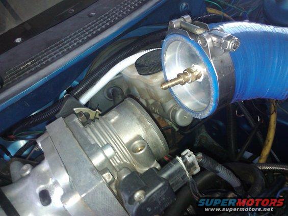 Engine bay with blue hose, throttle body, and brake fluid reservoir