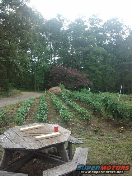 20110618-13.45.40.jpg 