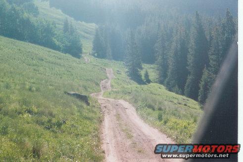 longroad.jpg Long road ahead