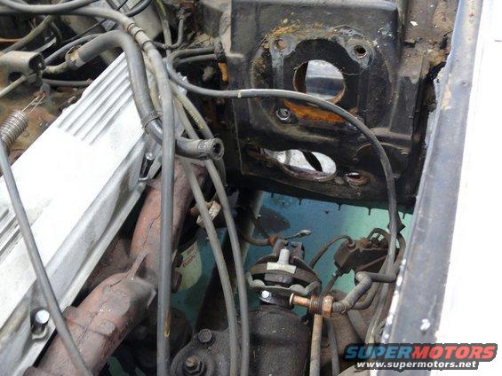 Close-up of engine bay with hoses, wiring, and parts of the engine visible