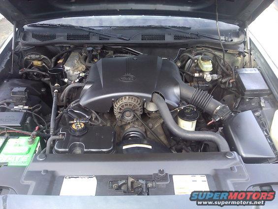 Engine bay of a 1998 Ford Crown Victoria, showing the V8 engine and components