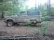 1982 Ford Bronco - A tan Ford Bronco II sits abandoned in a forest, partially obscured by foliage.