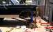 IMAG0218.jpg