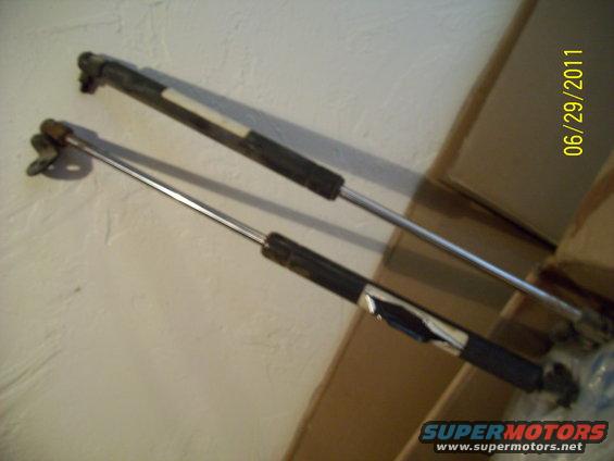 100_1020.jpg 