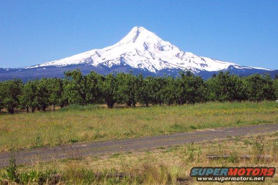 dcp_1167.jpg Mt. Hood (ranger station)