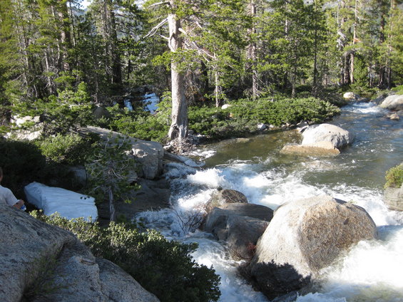 Rocky riverbank with trees and a person sitting on a rock