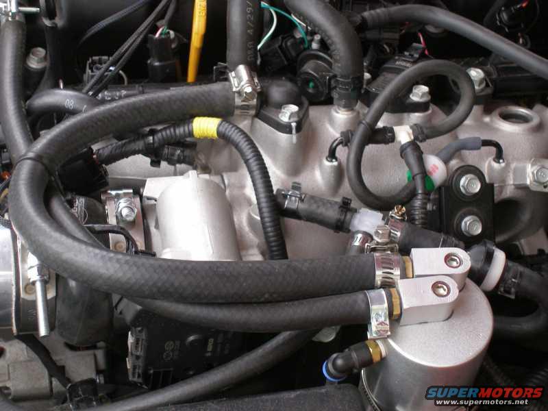 intake-hoses-2.jpg 