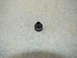 1992 Ford Taurus - A single black brake line fitting rests on a concrete surface.