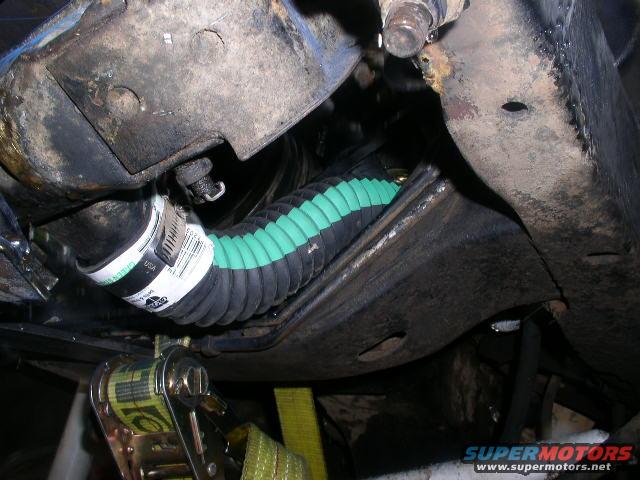 p1010003.jpg new longer hose for the bottom