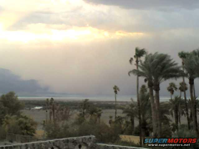 Palm trees in the foreground with a hazy sky and distant water under cloudy skies