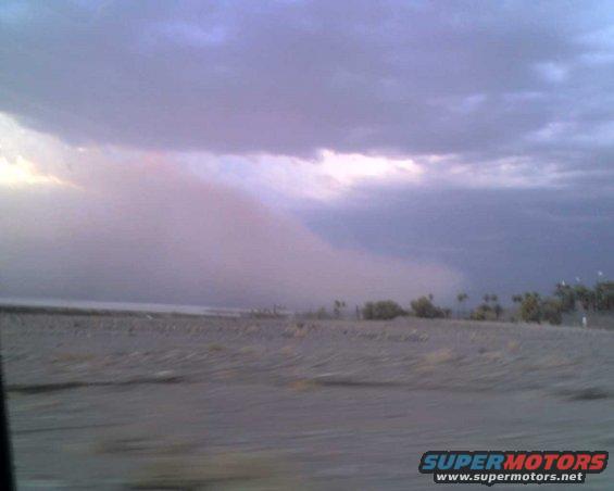 dust storm approaching over a dry landscape with scattered trees under a cloudy sky