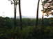 1971 Ford Ranchero - A hazy sunset over a vast forest and distant mountains, framed by trees.
