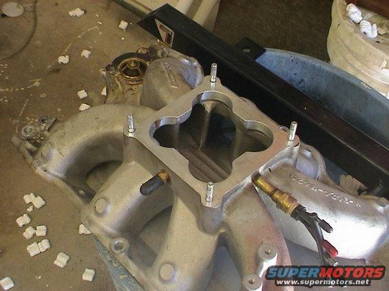 dsc00080.jpg Victor Jr. with Dominator Flange