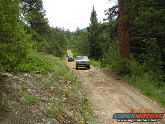 White Ford F-series truck and a black SUV drive up a dirt road in a forest