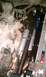 IMAG0225.jpg