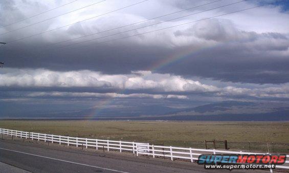 imag0404--copy.jpg 