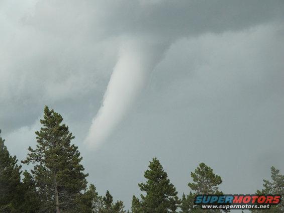Tornado funnel cloud over trees