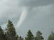 1994 Ford Bronco - A tornado funnel descends from stormy clouds above a line of pine trees.