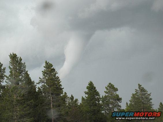 Tornado over trees