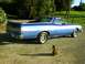1973 Ford Ranchero - A blue pickup truck with a two-tone paint job sits in a grassy area with a cat and dog nearby.