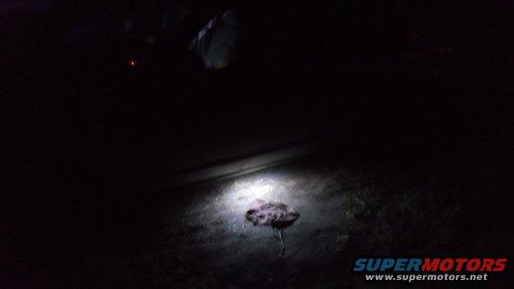 100_0681.jpg 