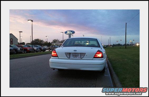 stap2011159.jpg STAP 2011 