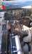 IMAG0237.jpg