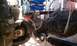 IMAG0234.jpg