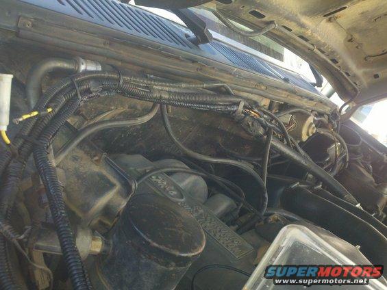 Engine bay wiring harness and components, some dirt and dust visible