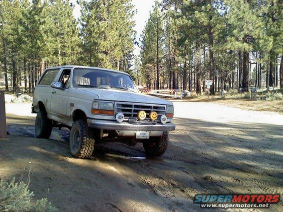 bronc.jpg 