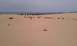 1994 Ford F-250 - Several vehicles are scattered across sand dunes near a body of water under an overcast sky.