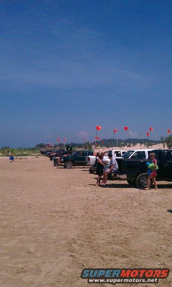 Several trucks parked on a sandy beach under a blue sky with red flags on poles