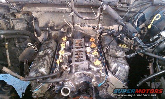 Engine bay showing fuel injectors and intake manifold