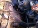 IMG_20110128_151417.jpg