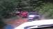 1989 Ford Bronco - Multiple off-road vehicles, including a 1989 Ford Bronco, travel on a wooded dirt path.