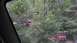 1989 Ford Bronco - Off-road vehicles navigate a steep, wooded trail during an outdoor excursion.