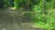 1989 Ford Bronco - A dirt road passes through a wooded area with lush green foliage.