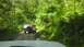 1989 Ford Bronco - A 1989 Ford Bronco navigates a dirt path surrounded by dense green foliage.