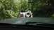 1989 Ford Bronco - Following a Ford Bronco on a wooded trail during the day.