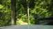 1989 Ford Bronco - Off-roading adventure through a wooded trail with multiple vehicles.