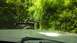 1989 Ford Bronco - A white SUV navigates a wooded trail, its spare tire visible on the rear.
