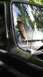1989 Ford Bronco - A feather is visible on the interior of a vehicle's windshield.