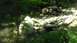 1989 Ford Bronco - A natural scene of a stream bed filled with rocks and surrounded by trees and plants.