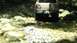 1989 Ford Bronco - A tan truck navigates a rough, rocky path through a wooded area.